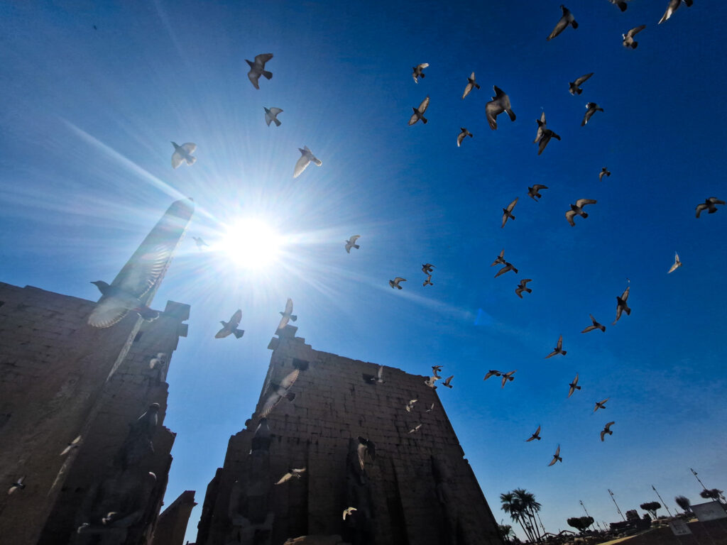 Luxor Temple