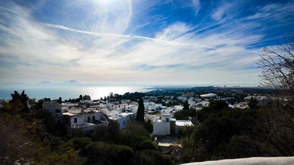 View of Tunis from Sidi bou Said