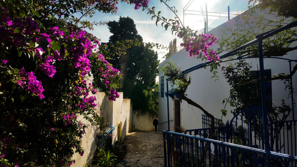 Alleyway in Sidi Bou Said