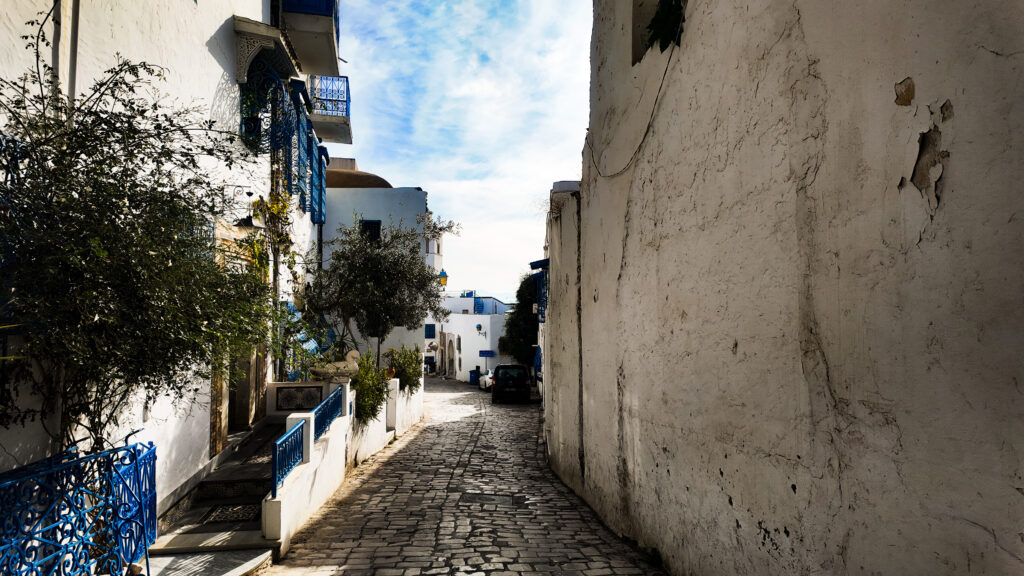 Alleyway in Sidi Bou Said